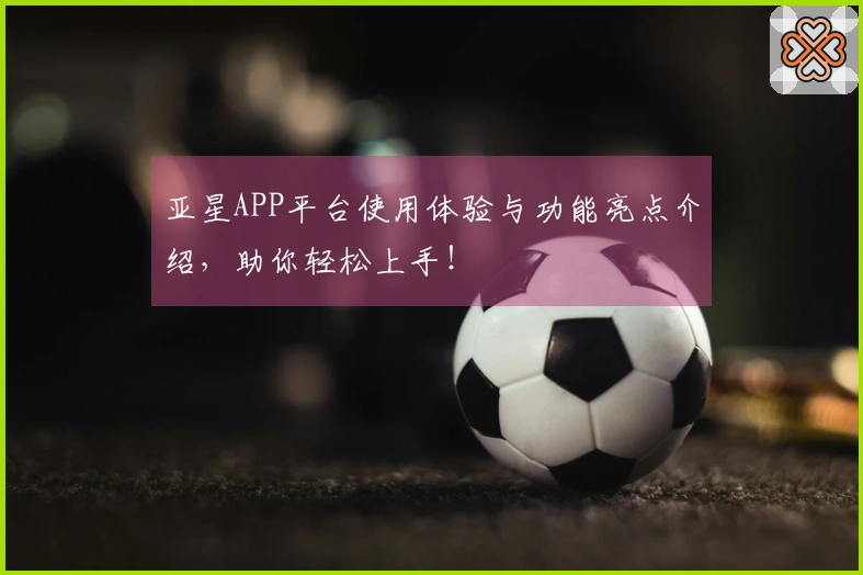 亚星APP平台使用体验与功能亮点介绍，助你轻松上手！